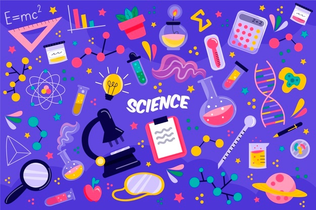 First Year (Humanities & Sciences)